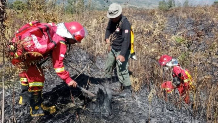 Kemenhut berhasil kendalikan karhutla di Sembalun Gunung Rinjani