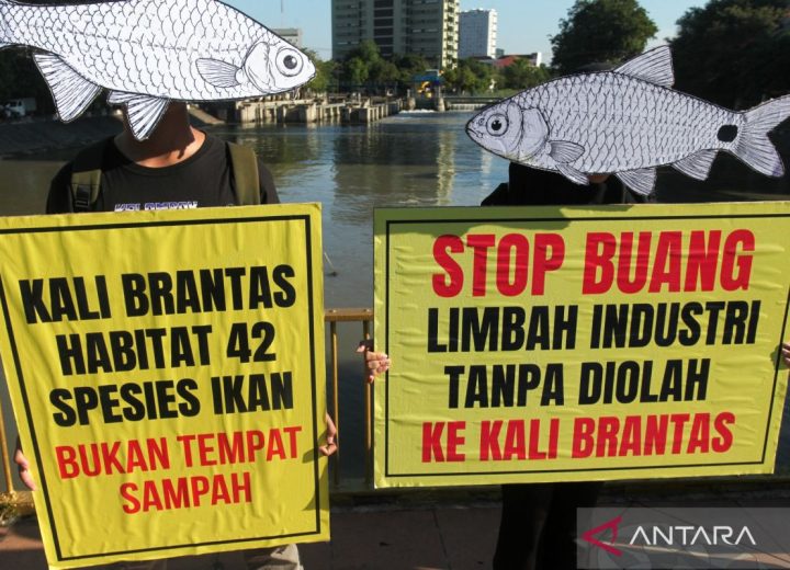 aksi-hari-lingkungan-hidup-sedunia-di-surabaya-2800369