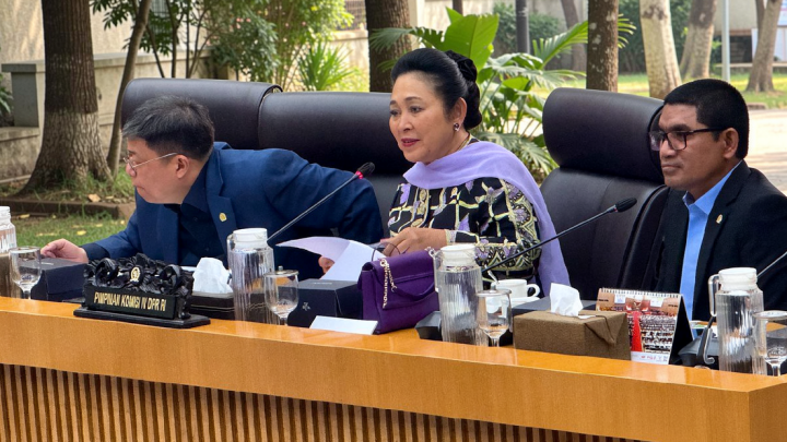 Komisi IV DPR apresiasi keberhasilan swasembada 8 komoditas pangan
